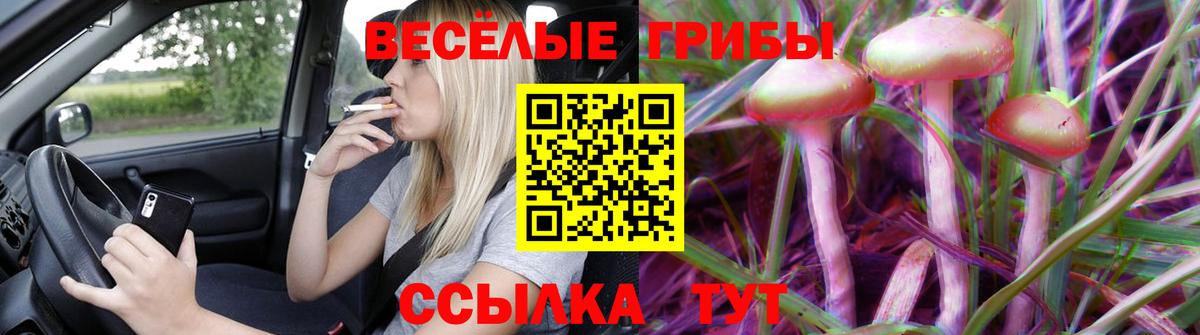 Псилоцибиновые грибы Cubensis  Вход с VPN  Санкт-Петербург 